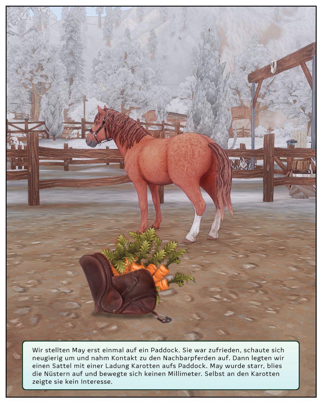 Fellgeknüll & Steigbügel � Slide 4